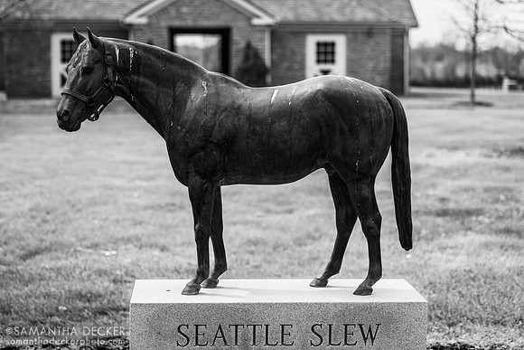 Seattle Slew statue, Three Chimneys Farm, Midway, KY