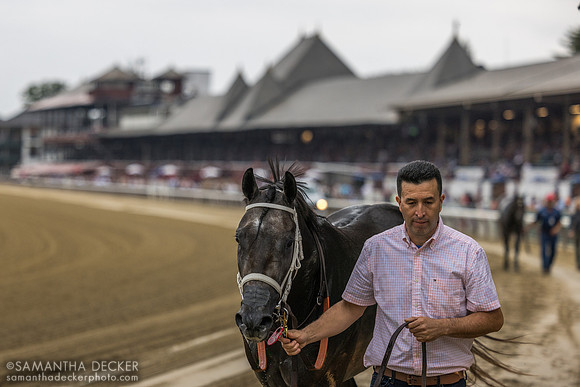 Dapper Moon, winner of R8