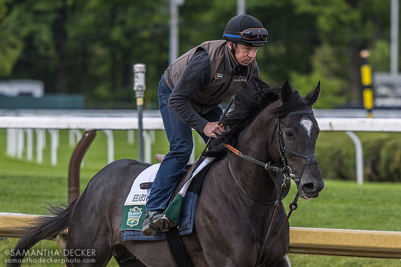 Heart of Honor