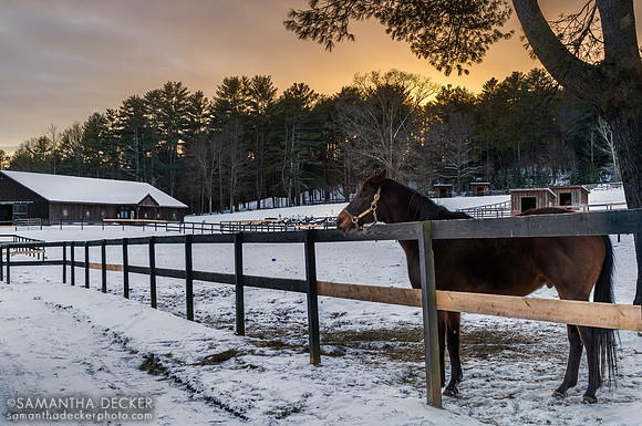 King Congie, Old Friends at Cabin Creek, Greenfield, NY