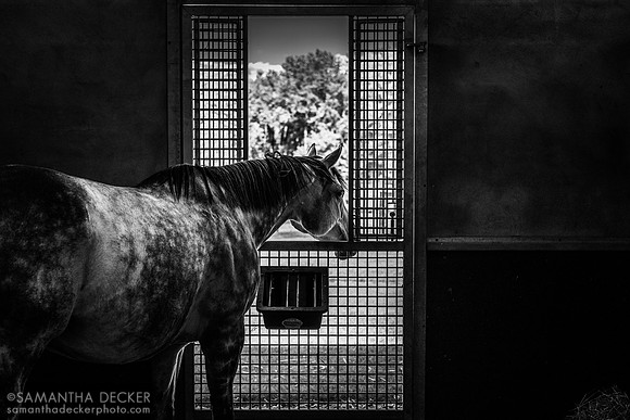Sugar Plum Farm, Saratoga Springs, NY