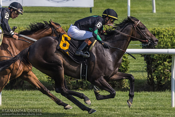 Pipsy wins the Intercontinental