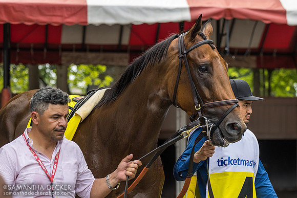 Ways and Means, winner of the Test S.