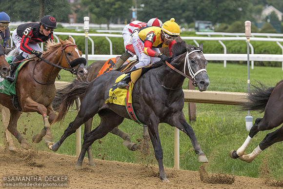 Dapper Moon wins R8