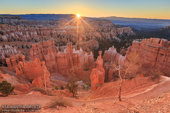 Sunrise from Navajo Loop Trail