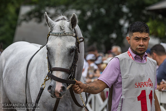 Arthur's Ride, winner of the Whitney