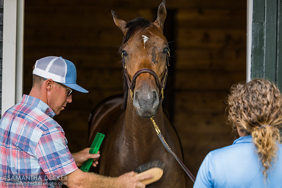 Billy Love and Shannon Metzler with a Yaupon filly o/o Belle Gallantey