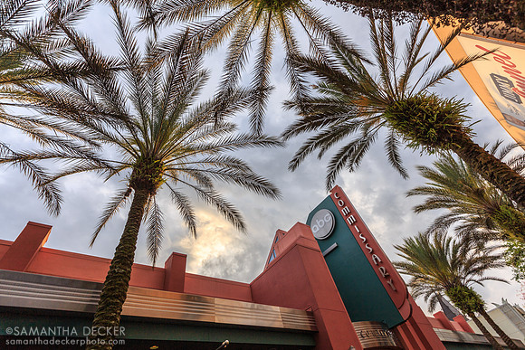 ABC Commissary, Disney's Hollywood Studios