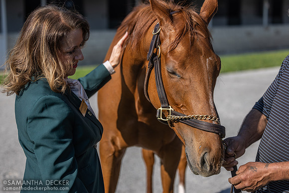 Carol Sexton gives a pet to American Promise, Keeneland, 2025