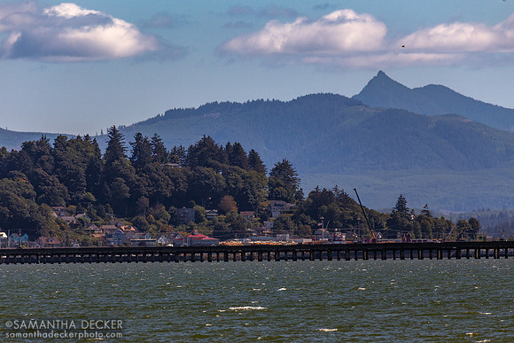 Dismal Nitch, WA