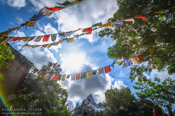 Anandapur Village and Expedition Everest, Disney's Animal Kingdom