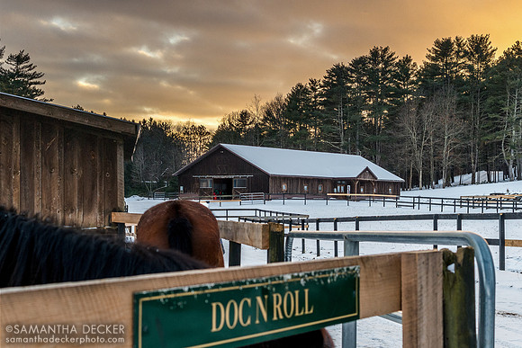 Sunset at Old Friends at Cabin Creek, Greenfield, NY