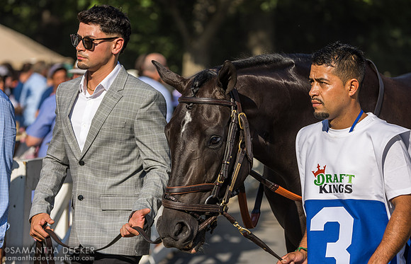 Domestic Product, winner of the H. Allen Jerkens
