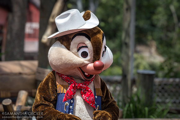 Dale at Frontierland, Magic Kingdom