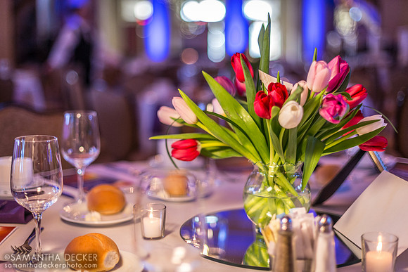Hall of Springs at the SCTB 30th Annual Meeting