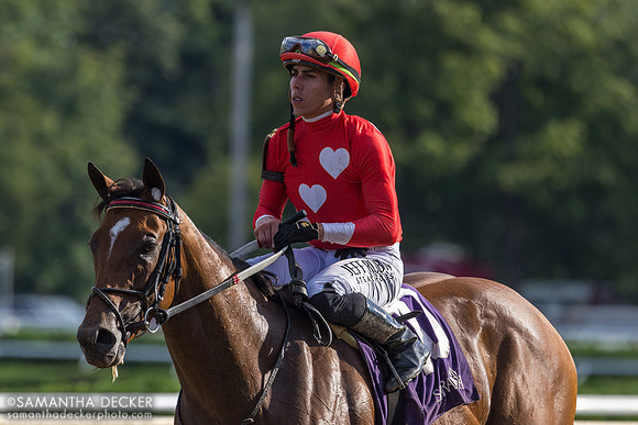 Halina's Forte wins the Galway S.