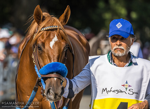 Pony Express