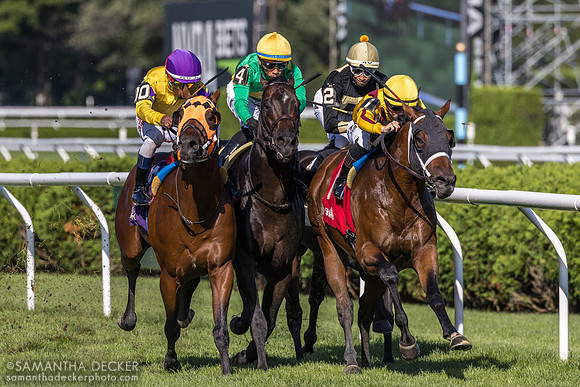 Down the stretch in the Mahony S.