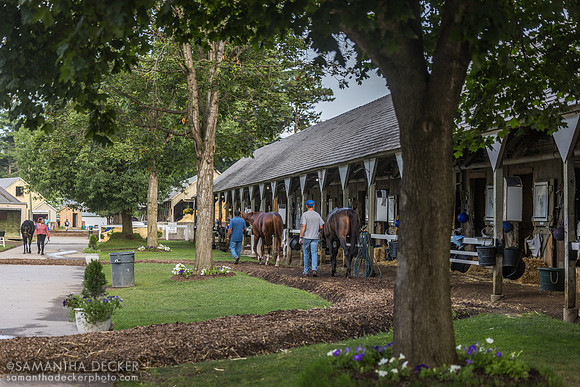 Todd Pletcher Barn, 2025