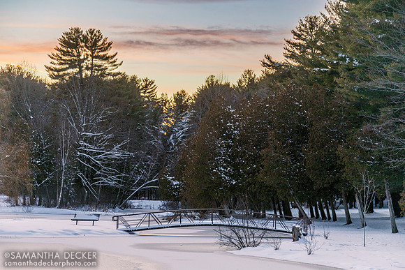 Winter at Crandall Park, 2019
