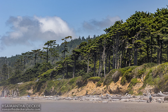 Kalaloch, WA