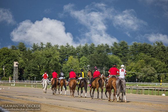 Post parade for the De La Rose S.