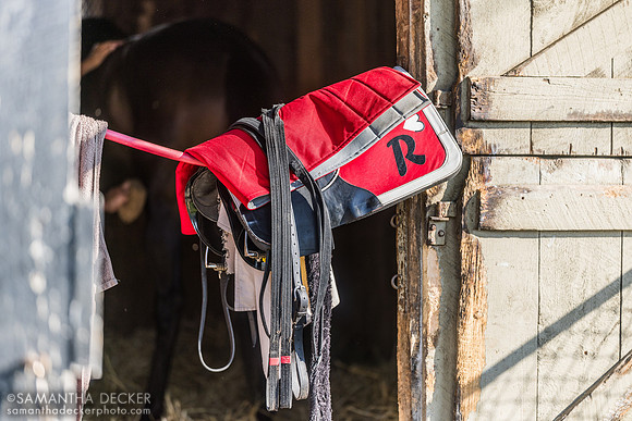 Phil Bauer/Rigney Racing tack on Buchu's stall