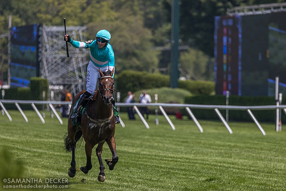 Jimmy P wins the Jonathan Sheppard H.