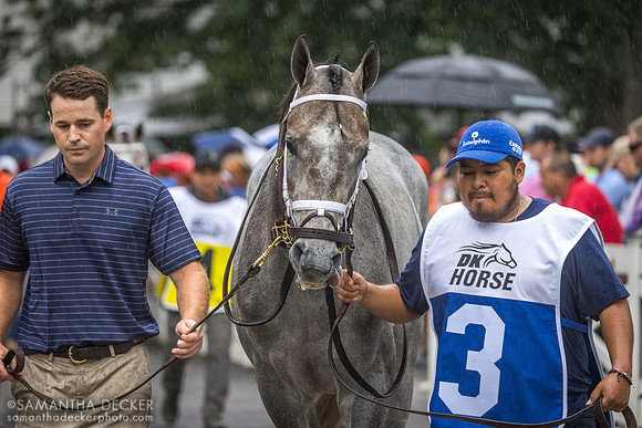 Hit Show before the 2023 Jim Dandy