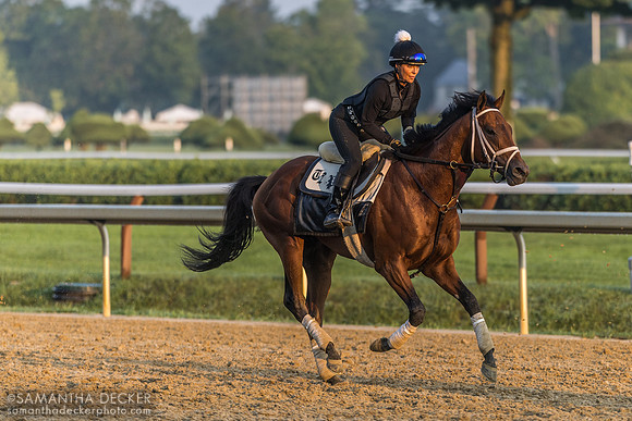 Chantal Sutherland on a Todd Pletcher trainee