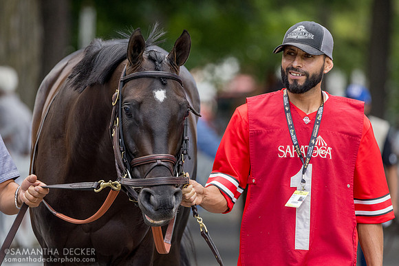 Unmatched Wisdom, winner of the Curlin S.