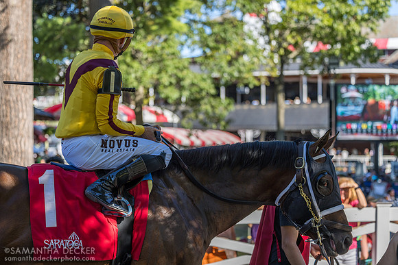 Fandom, winner of the Mahony S.