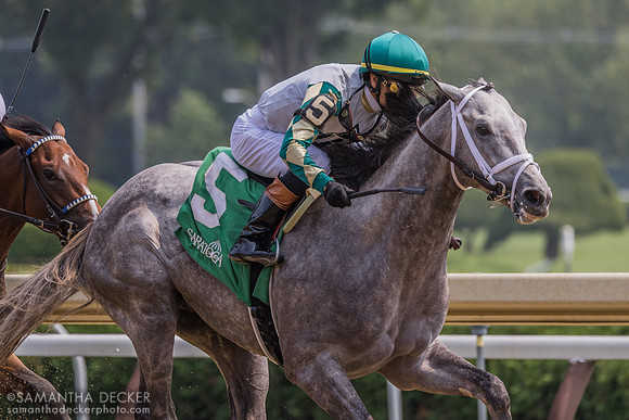 Manhattan Twist wins R1