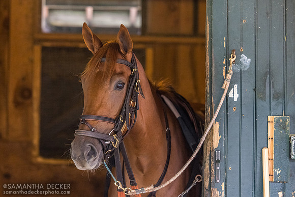 She Feels Pretty about to go out (2024 Photo)