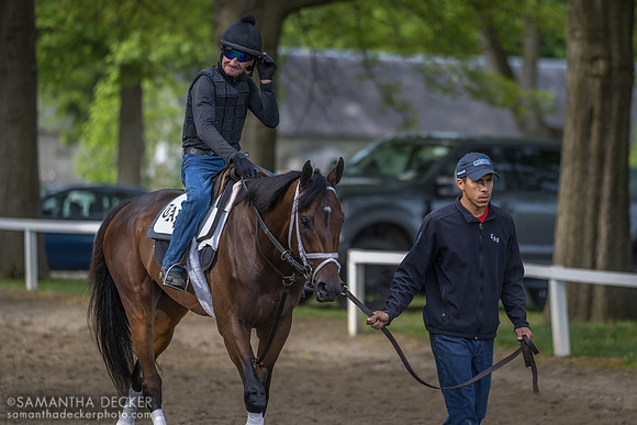 Danny Wright rides Fierceness