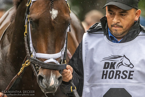 Forte before the 2023 Jim Dandy