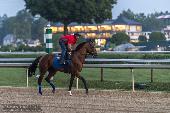 National Treasure