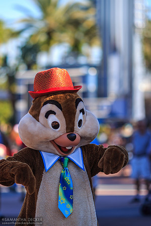 Chip, Disney's Hollywood Studios