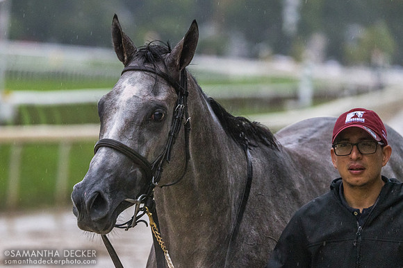 One of the last horses off the track of the 2022 meet