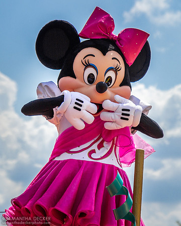Celebrate a Dream Come True Parade (2011), Magic Kingdom