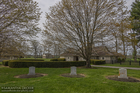 Cemetery, Three Chimneys Farm, Midway, KY