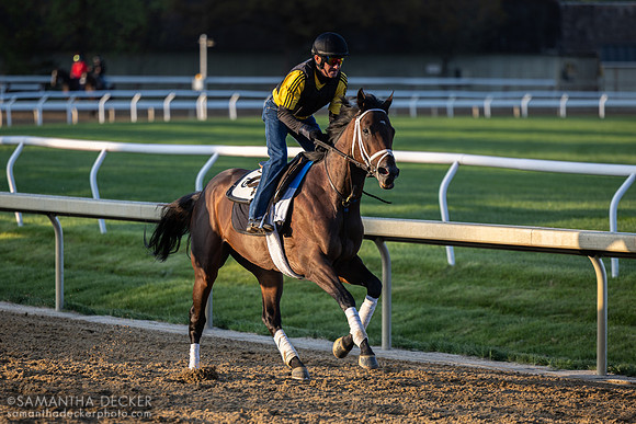 Danny Wright on Fierceness