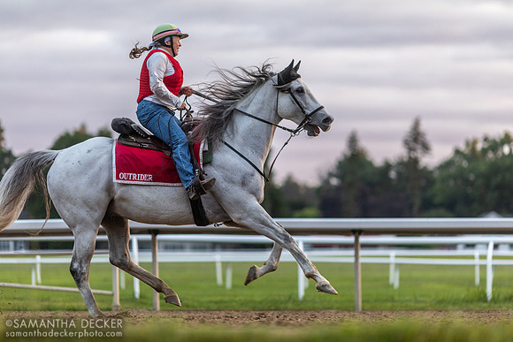 Outrider at the Oklahoma Track, 2021