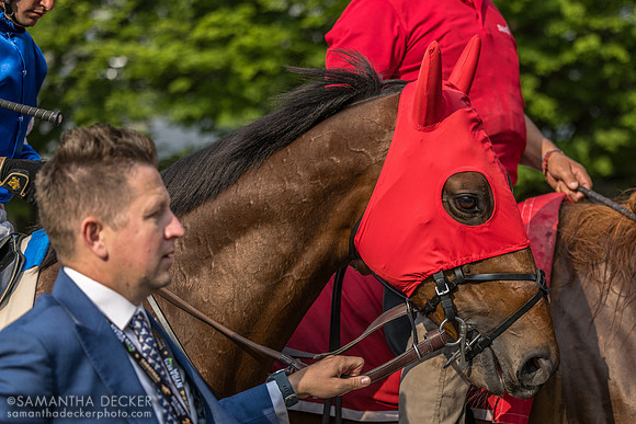 Silver Knott, winner of the Bowling Green S.