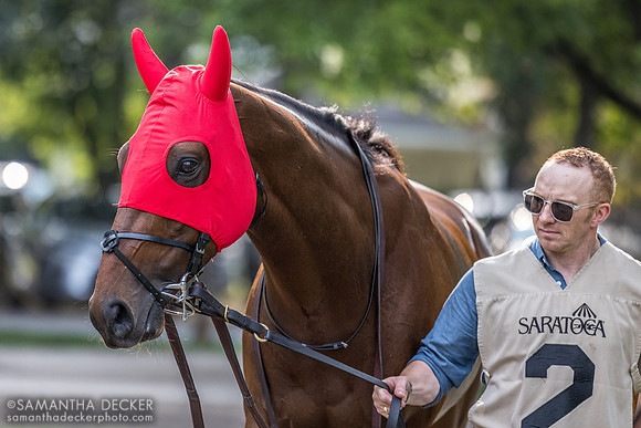 Silver Knott, winner of the Bowling Green S.