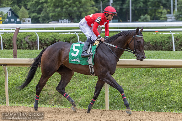 Warrior Johny, winner of R9