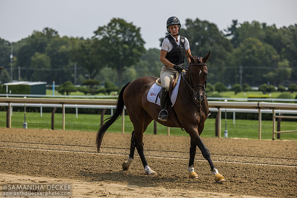 Kendra Richardson on OTTB Dangerous Edge