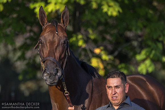 Idiomatic