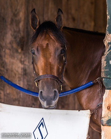 Strong State, Al Stall barn