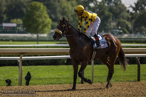 Far Bridge wins the Sword Dancer